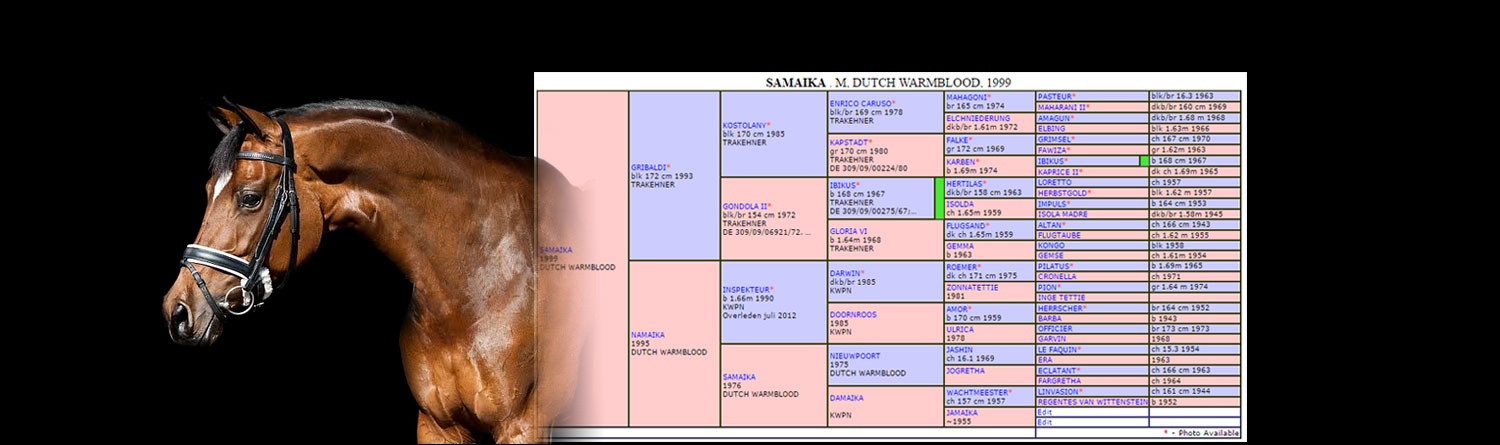 samaika-kwpn-pedigree