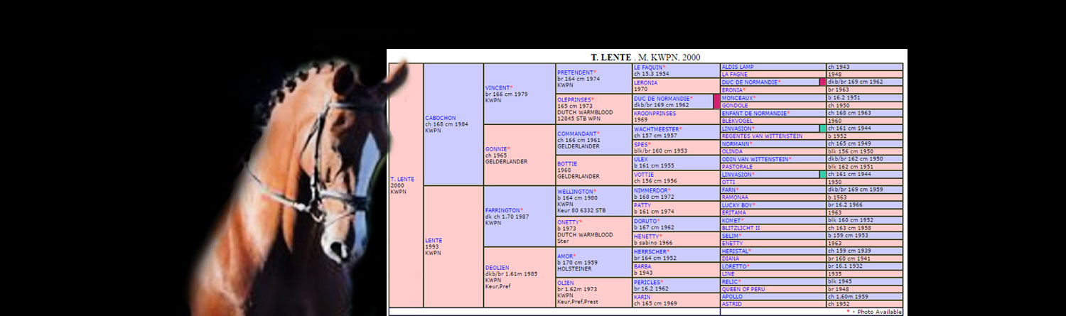 tlente-kwpn-pedigree